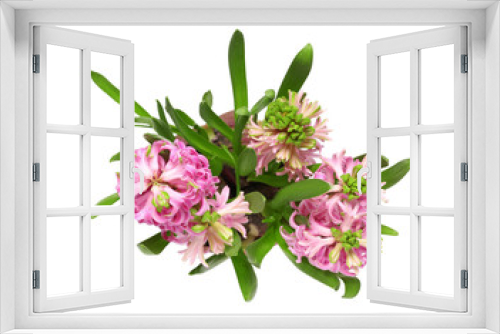 Fototapeta Naklejka Na Ścianę Okno 3D - Beautiful hyacinth on white background, top view