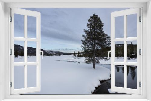 Fototapeta Naklejka Na Ścianę Okno 3D - Tree, Yellowstone River, Winter, Yellowstone National Park