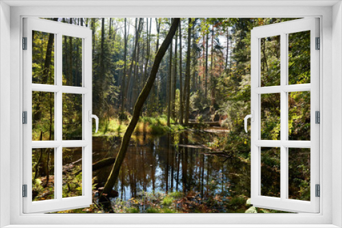Fototapeta Naklejka Na Ścianę Okno 3D - Rezerwat szum na roztoczu - Górcko Kościelne