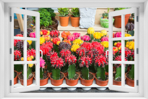 Fototapeta Naklejka Na Ścianę Okno 3D - Cactus farm