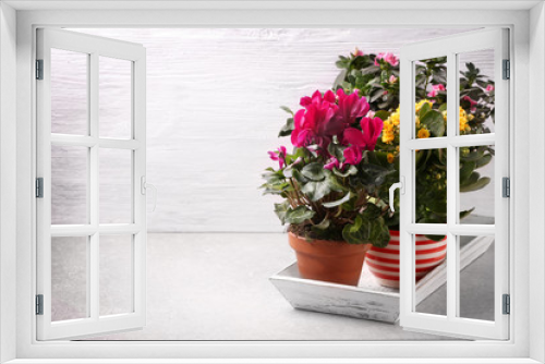 Fototapeta Naklejka Na Ścianę Okno 3D - Beautiful plants on white wooden background