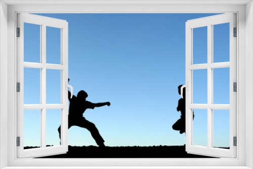 Fototapeta Naklejka Na Ścianę Okno 3D - martial arts