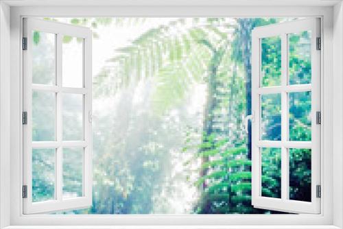 Fototapeta Naklejka Na Ścianę Okno 3D - Lush Monteverde Cloud Forest Reserve Costa Rica