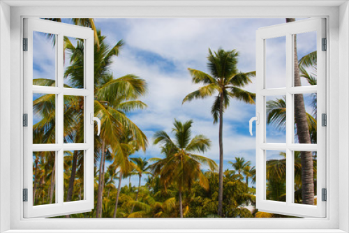 Fototapeta Naklejka Na Ścianę Okno 3D - High palm trees under the blue sky