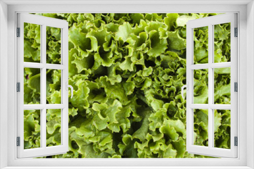 Fototapeta Naklejka Na Ścianę Okno 3D - produce - organic lettuce background
