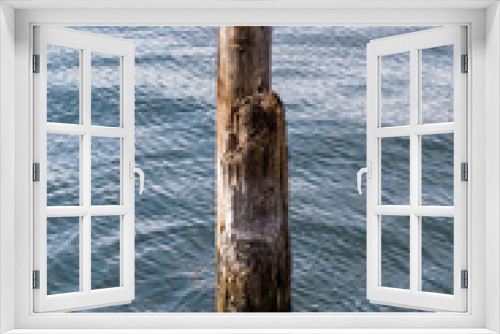 Fototapeta Naklejka Na Ścianę Okno 3D - Lonely wooden pillar in a lake with reflection