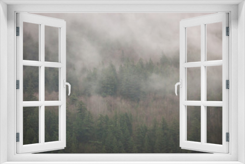 Fototapeta Naklejka Na Ścianę Okno 3D - Foggy forest
