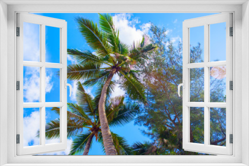 Fototapeta Naklejka Na Ścianę Okno 3D - Tropical landscape. Bottom view of the palm trees on background of bright blue sky