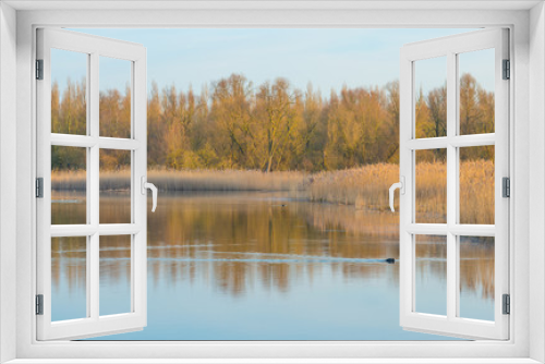 Fototapeta Naklejka Na Ścianę Okno 3D - Shore of a lake in wetland at sunrise