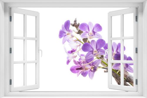 Fototapeta Naklejka Na Ścianę Okno 3D - Beautiful purple orchid flowers branch isolated on white background
