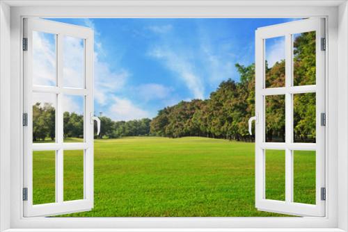 Fototapeta Naklejka Na Ścianę Okno 3D - Sky and green grass field in city park