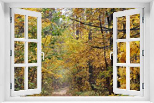 Fototapeta Naklejka Na Ścianę Okno 3D - Golden autumn