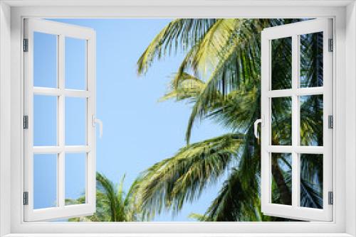 Fototapeta Naklejka Na Ścianę Okno 3D - coconut tree