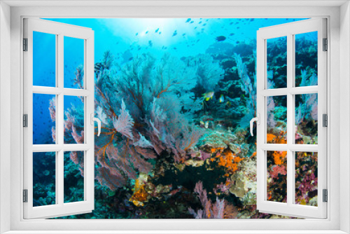 Fototapeta Naklejka Na Ścianę Okno 3D - Undersea, Underwater life, fish, shoal, coral
