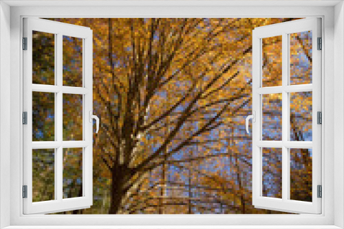 Fototapeta Naklejka Na Ścianę Okno 3D - Autumn, Hwy 32 out of Cosby, TN