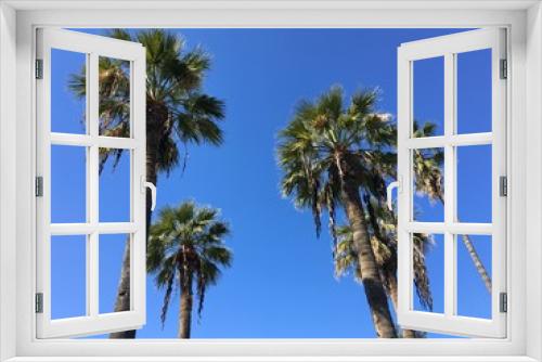 Fototapeta Naklejka Na Ścianę Okno 3D - Palm trees in a desert. Clear blue sky in tropical beach seascape banner
