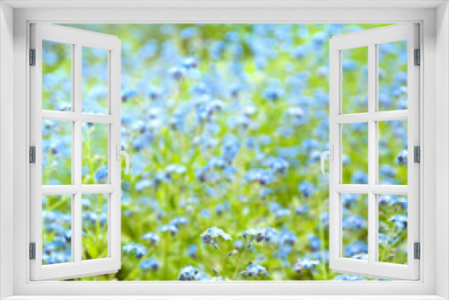 Fototapeta Naklejka Na Ścianę Okno 3D - Blue flowers background