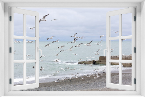 Fototapeta Naklejka Na Ścianę Okno 3D - Черное море и чайки