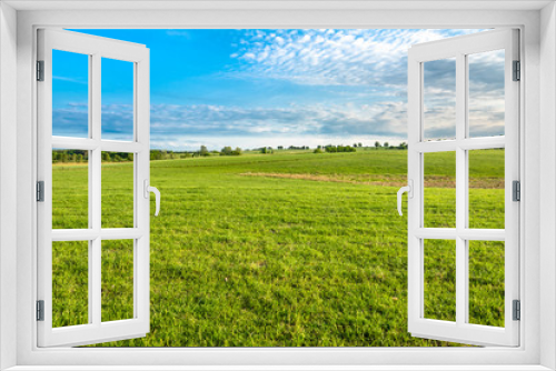 Fototapeta Naklejka Na Ścianę Okno 3D - Green field, landscape of meadow with grass and blue sky in spring