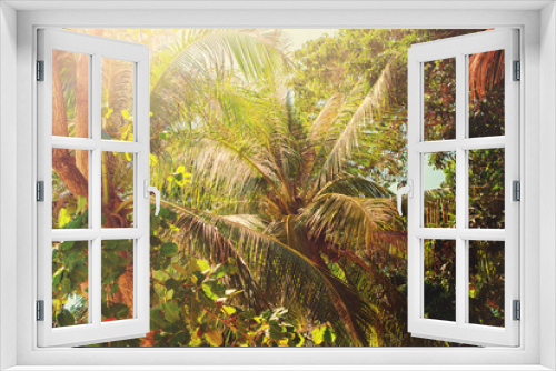 Fototapeta Naklejka Na Ścianę Okno 3D - Tropical Trees Leaves Asian Forest Background