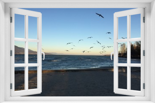 Fototapeta Naklejka Na Ścianę Okno 3D - Mouettes sur la plage