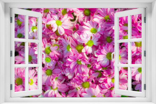 Fototapeta Naklejka Na Ścianę Okno 3D - Beautiful flower background