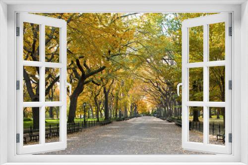 Fototapeta Naklejka Na Ścianę Okno 3D - Central Park, New York. Beautiful park in beautiful city.