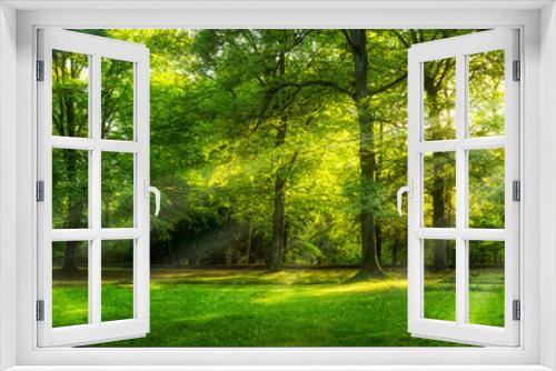 Fototapeta Naklejka Na Ścianę Okno 3D - Grünes Wald Panorama im Sommer