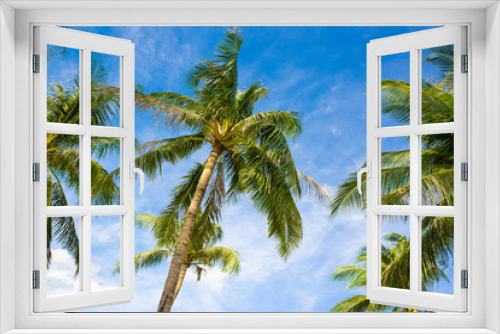 Fototapeta Naklejka Na Ścianę Okno 3D - Coconut palm tree blue sky