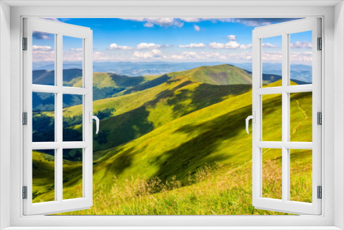 Fototapeta Naklejka Na Ścianę Okno 3D - grassy hillside on mountain in summer