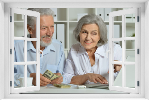 Elderly couple with a laptop