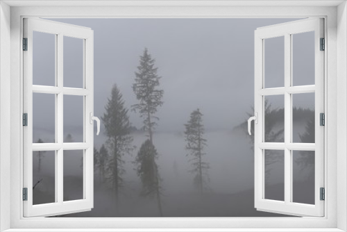 Fototapeta Naklejka Na Ścianę Okno 3D - Wald im Nebel, Oregon, USA