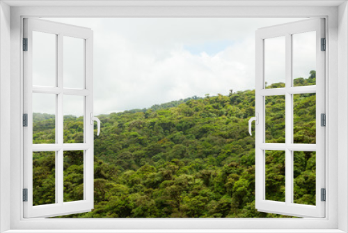 Fototapeta Naklejka Na Ścianę Okno 3D - Rainforest landscape in Monteverde Costa Rica