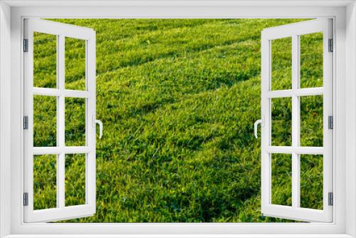 Fototapeta Naklejka Na Ścianę Okno 3D - Newly mowed grass lawn with tire diagonals in late afternoon light