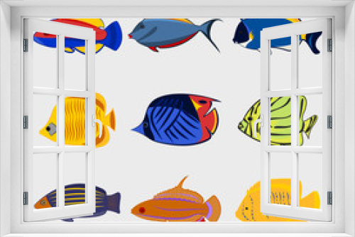 Fototapeta Naklejka Na Ścianę Okno 3D - Icon reef fish set.