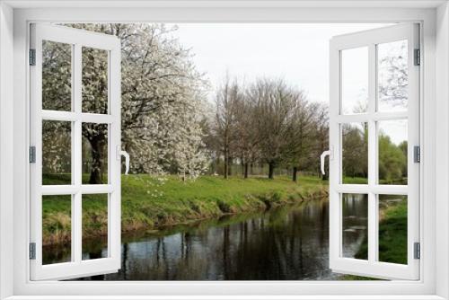 Fototapeta Naklejka Na Ścianę Okno 3D - Baumblüte und Frühlingserwachen am Niersufer