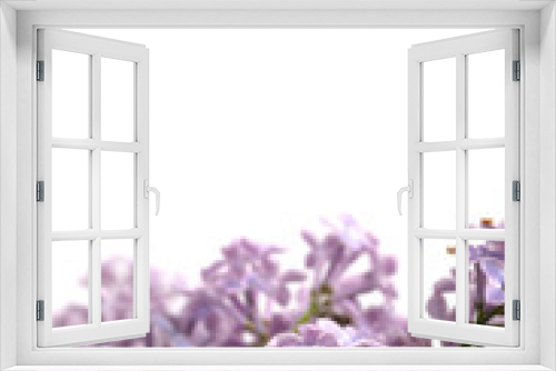 Fototapeta Naklejka Na Ścianę Okno 3D - Violet Lilac