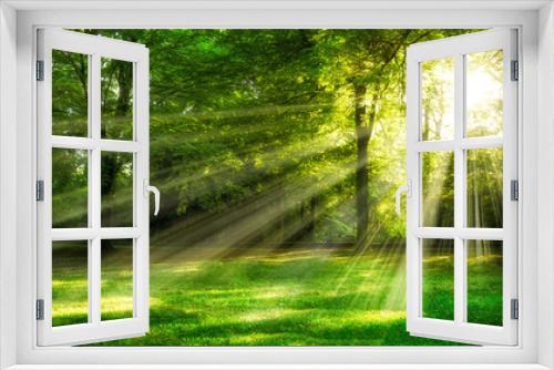 Fototapeta Naklejka Na Ścianę Okno 3D - Lichtdurchfluteter Wald 