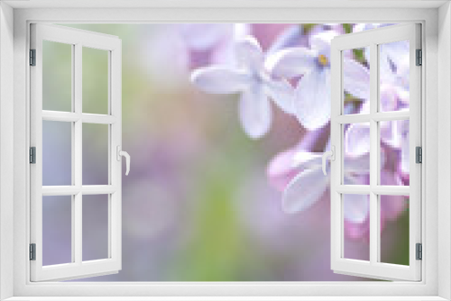 Fototapeta Naklejka Na Ścianę Okno 3D - Background with flowers