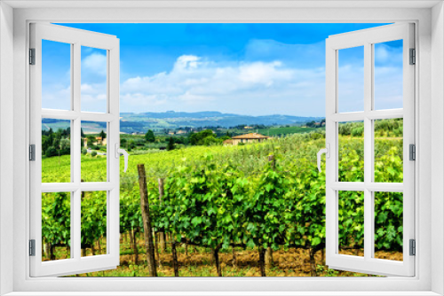 Fototapeta Naklejka Na Ścianę Okno 3D - Vineyard in Tuscany