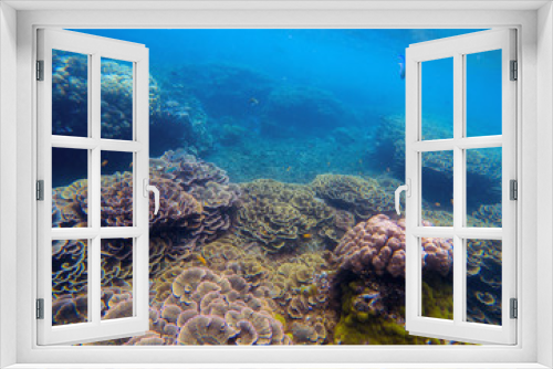 Fototapeta Naklejka Na Ścianę Okno 3D - Underwater landscape with pink corals. Tropical seashore perspective photo.