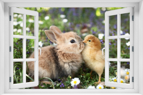 Fototapeta Naklejka Na Ścianę Okno 3D - Best friends bunny rabbit and chick are kissing