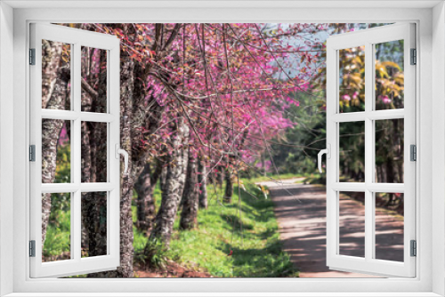 Fototapeta Naklejka Na Ścianę Okno 3D - Pink Flower Tree and Curve Road View Background