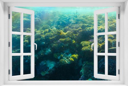 Fototapeta Naklejka Na Ścianę Okno 3D - Tropical ocean life. Coral reef full of fish floating under water surface. Sunbeams light through ripples.