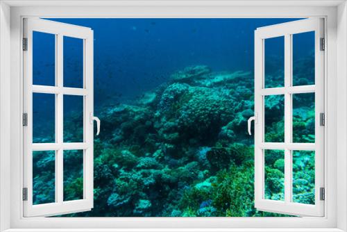 Fototapeta Naklejka Na Ścianę Okno 3D - Fishes on the reef, coral of Red sea