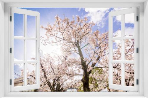 Fototapeta Naklejka Na Ścianę Okno 3D - 東京の桜