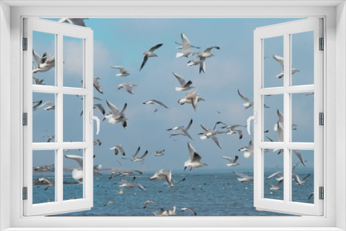 Fototapeta Naklejka Na Ścianę Okno 3D - Flock of seagulls
