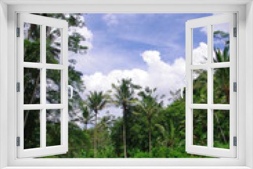 Fototapeta Naklejka Na Ścianę Okno 3D - バリ島の渓谷