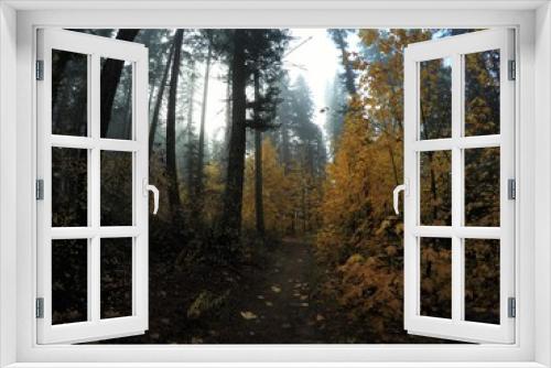 Fototapeta Naklejka Na Ścianę Okno 3D - Exploring Washington State, The Great Pacific Northwest