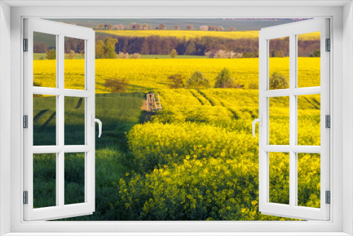 Fototapeta Naklejka Na Ścianę Okno 3D - Panorama of a spring field in Germany, agricultural land in Brandenburg